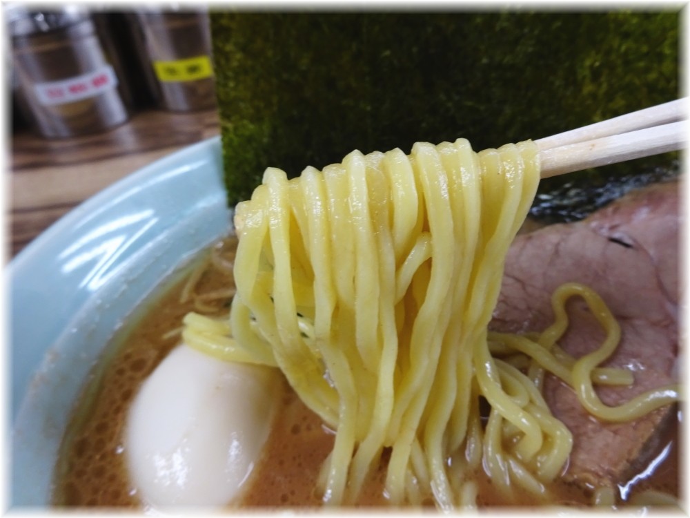 武源家 半熟味玉ラーメン(並)の麺