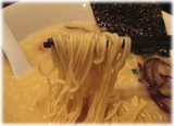 だいだい 博多ラーメンの麺