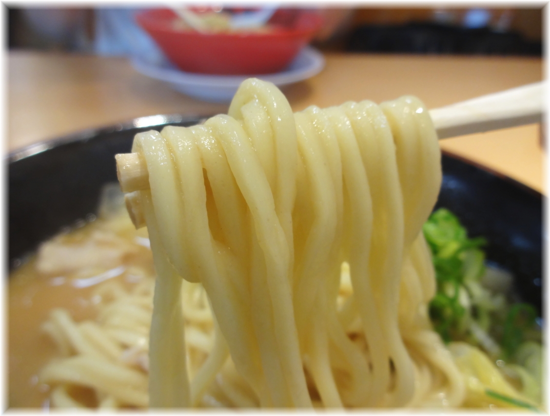 天下一品関内店 味がさねの麺