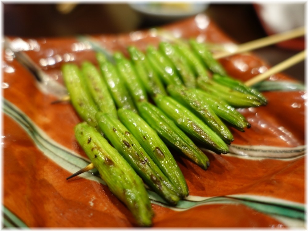 鳥田中2 金針菜