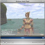 FFXI_test