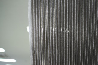 IMGP8077_s