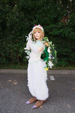 _IGP8491_s
