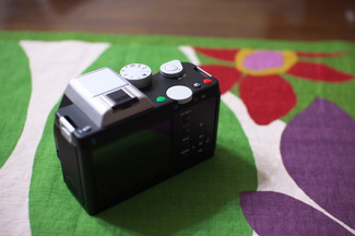 _IGP3691_s