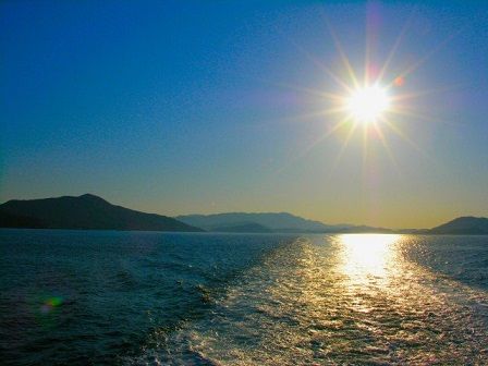 海