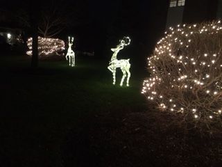 USAクリスマス