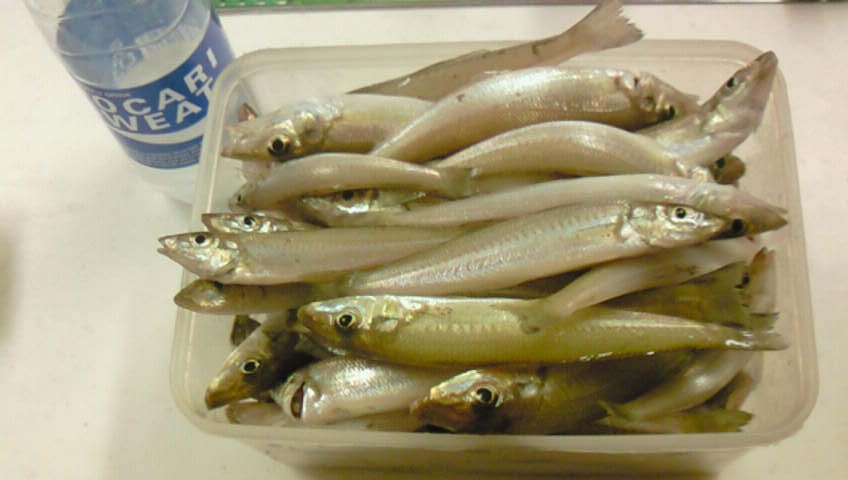 201409241701000