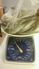 7-1計量900g23匹