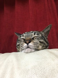 IMG_6929