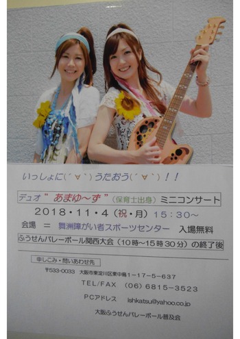 18 11 4関西大会ポスターJ