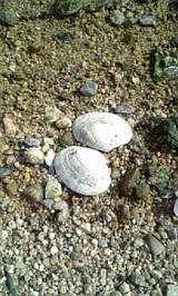 d5989f9c.jpg