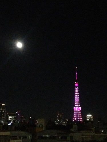 IMG_3155