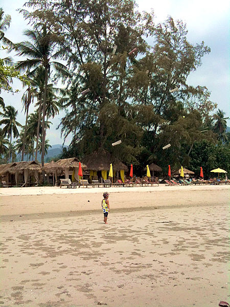 iphoto 013