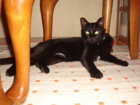 ame