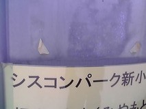 5775f081.jpg