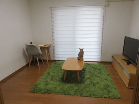 □40代で、大掛かりな断捨離をしておく□ : やさしい時間と、も □40代で、大掛かりな断捨離をしておく□ : やさしい時間と、も