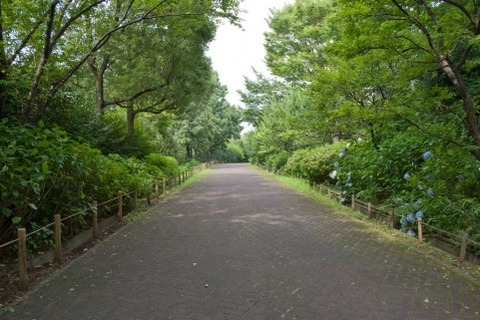 a0008_000052