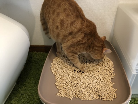 jKDMxs4KQc2ui3i+g7H0uw