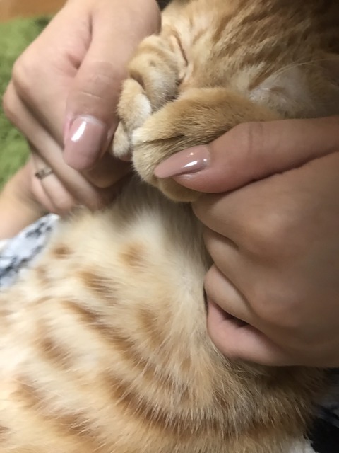 IMG_7883 - コピー