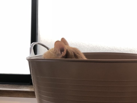 hr0pFbnqRTG%+S2EAzU2ag