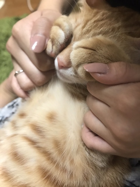 IMG_7882 - コピー