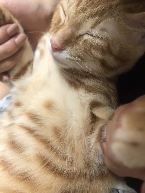 IMG_7884 - コピー