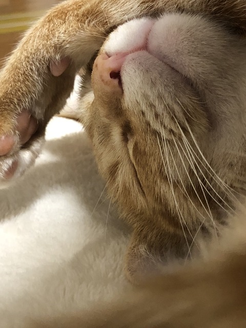 jXY9ZPdgT%q6J0hhv5gNXA