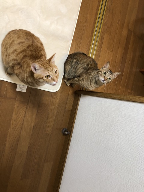 U2w5f6KBTRqUwoHLo55big