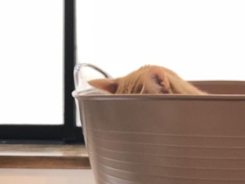 HSkybTbtQiSDy%GfjnHw5g