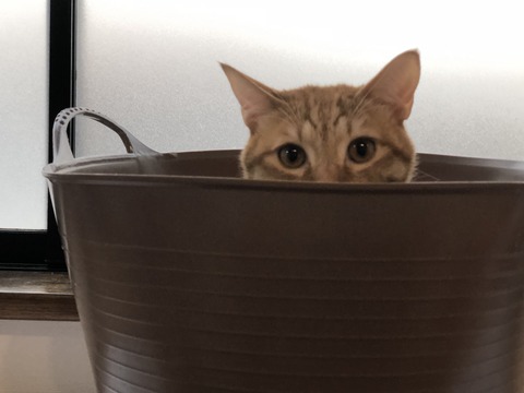 Pw1NEnffR1urza6dmAm7XQ