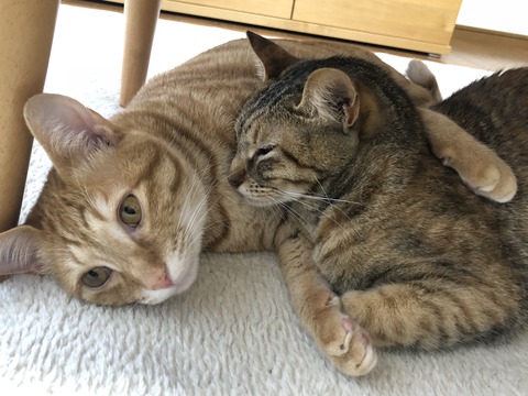 %aky0zOeQyKfJj1KscHU2g