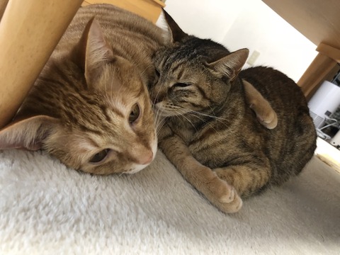 USp7ErlPSnWxXKh5VvtntA