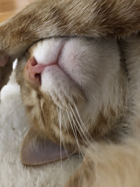 OVPCPMZ%SGm8z+mrE6FAGg