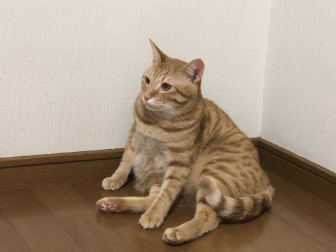 iPI%suiOSfCB%H5ezNjfmA