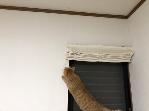 6zrJjQDATQmZdp4%O6m1Ew