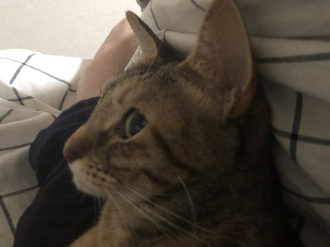 BrF3Si+kTDydHe9cdNyL4w