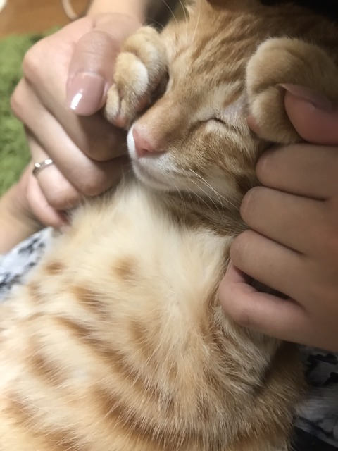 IMG_7885 - コピー