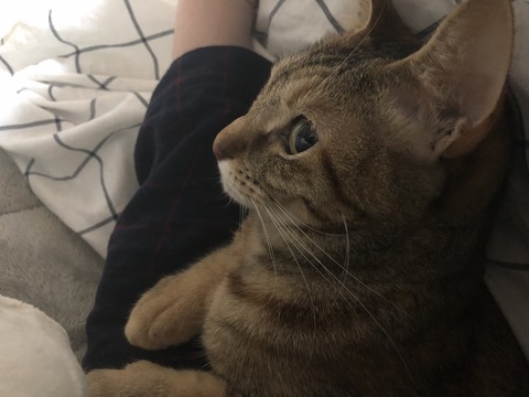 gJRMI4oOR2q%6MM9d0dK1w