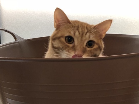 FV7firTKQ%qhGMZdmoP6jA