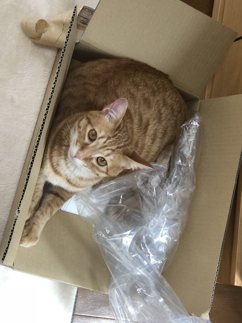 nP2X%mNtQ6SxHjCQGP7JWQ