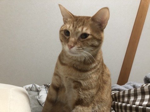 vL%MV0yiR5uGND+FqSlgjQ