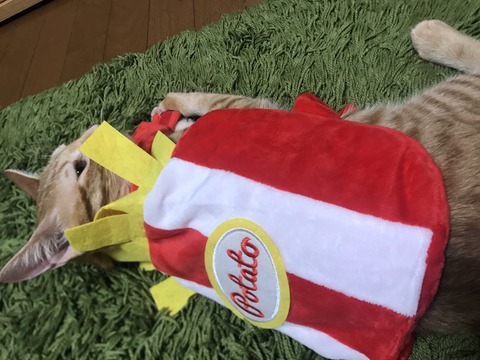 IMG_4793 - コピー