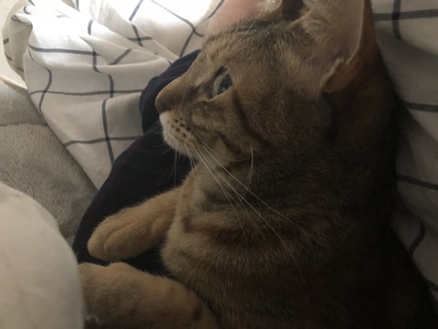 PwDFjqewSGakchENuryZoA