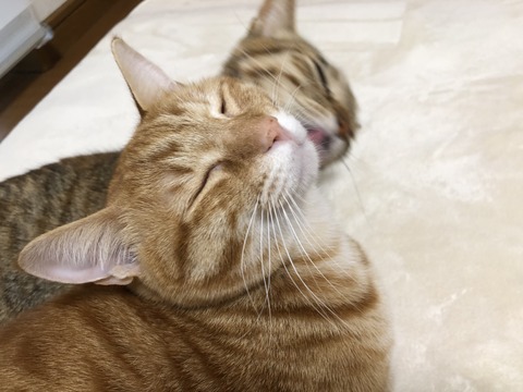 WUyt7CaeR7Cg%9PIViVOxw