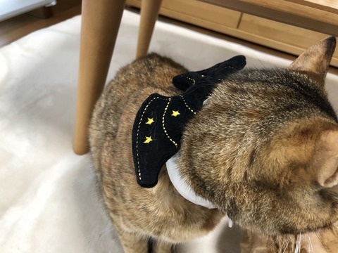 r7o7R+UtQWuOC3zIOQpsYA