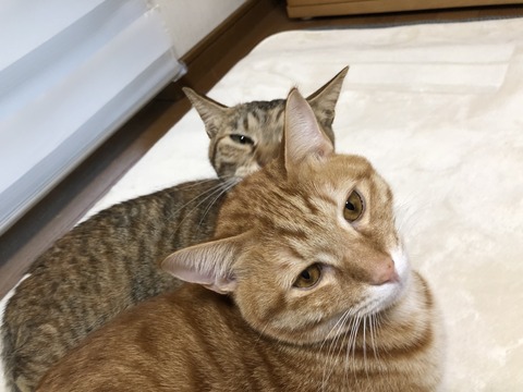 BXeJVv2TTCaLMU8B%PEbbw