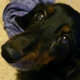 4946d0bd.jpg