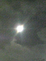 4131ed75.jpg