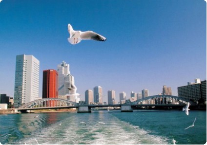 �����鸫�������ʣ�������