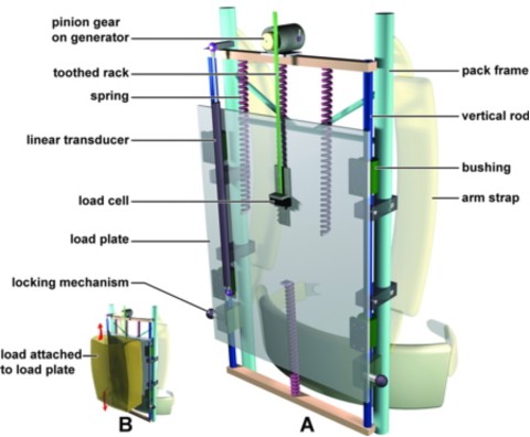model_electric_medium.jpg